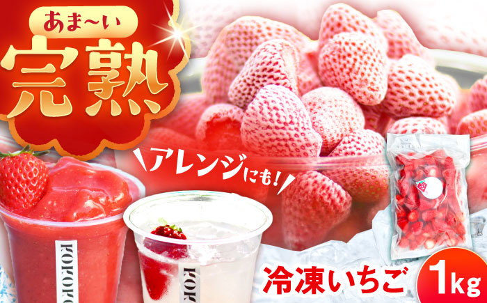 冷凍いちご 1kg / 苺 いちご イチゴ 冷凍 冷凍イチゴ 冷凍苺 / 恵那市 クリエイティブファーマーズ [AUAH023]