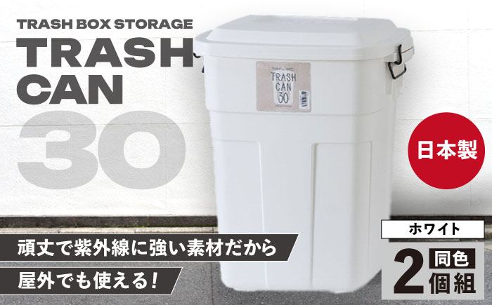 トラッシュカン ゴミ箱 ふた付き 30L ホワイト 2個組 / ダストボックス ゴミ箱 ごみ箱 / 恵那市 / 東谷株式会社 明智流通センター [AUAD069]