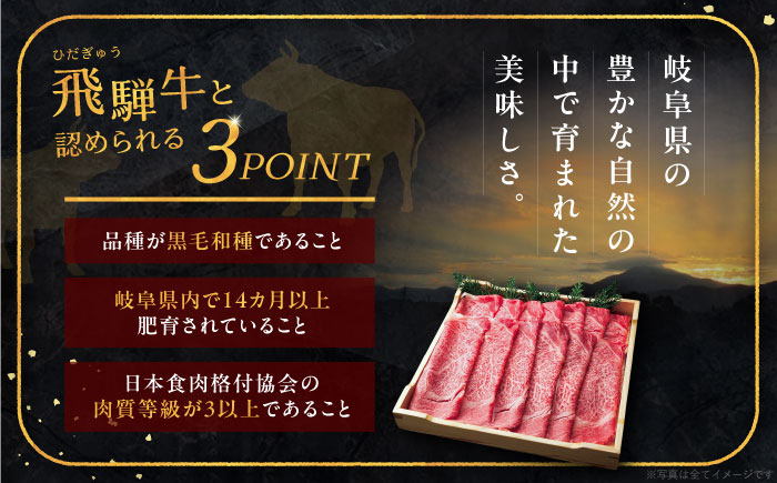 【12回定期便】 飛騨牛 ローススライス A5ランク 500g しゃぶしゃぶ・すき焼き 和牛 国産 霜降り 恵那市 / 岩島屋 [AUAJ038]