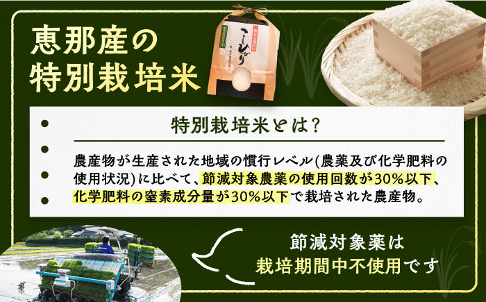 【12回定期便】　こしひかり 白米 5kg×12ヵ月 恵那 / お米 こめ コシヒカリ / 恵那市 / おこめのささき [AUAT004]