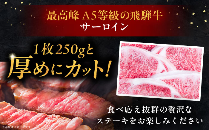 【6回定期便】 飛騨牛 サーロインステーキ (A5ランク) 250g×2枚 和牛 国産 霜降り 恵那市 / 岩島屋 [AUAJ028]