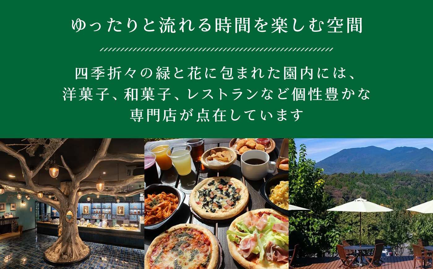 きのこ出汁 28袋入り / 出汁パック だし だしパック 粉末 常温 恵那市 / 銀の森 [AUBG074]