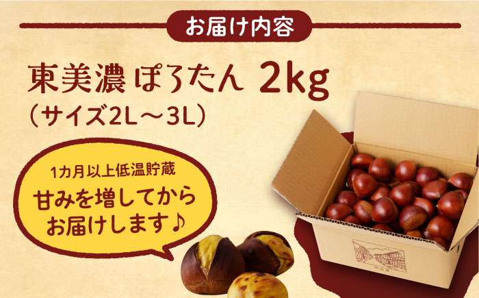 ＜10月下旬発送開始＞岐阜県産栗「東美濃ぽろたん」 2kg / 栗 くり 栗きんとん / 東美濃農業協同組合 [AUDS001]