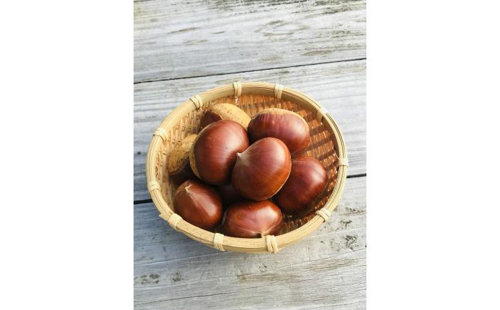 MontDeco Lab（モントデコ ラボ）モンブランケーキ 3個入り / モンブラン もんぶらん ケーキ ケーキ缶 ケーキ缶詰め モントデコ 栗ケーキ スイーツ 栗スイーツ 洋菓子 マロンケーキ お取り寄せ -もんかん- Mon Can / 恵那市 / MAC [AUDM043]