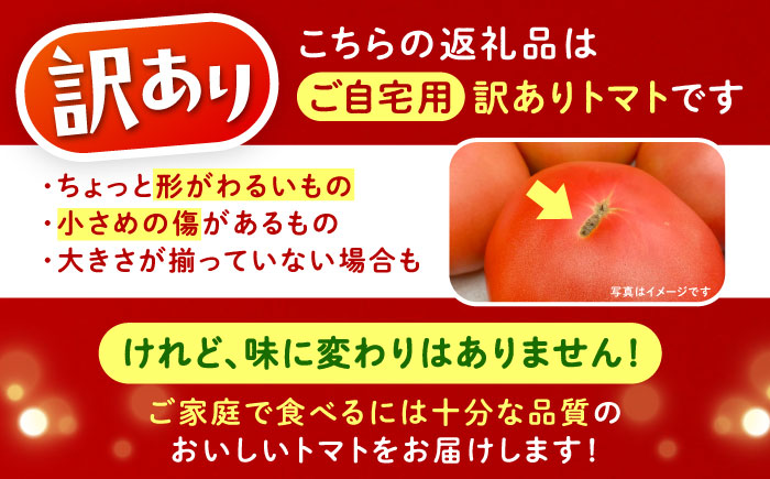 ＼受付終了間近！／【2025年7月中旬から10月下旬に順次発送】訳あり大玉トマト4kg / 朝採り 甘い 桃太郎 とまと / 恵那市 / クリエイティブファーマーズ [AUAH016]