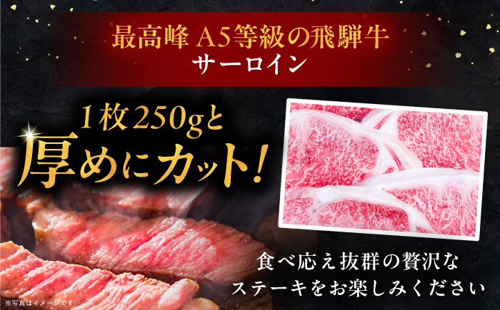 【年内発送】飛騨牛 サーロインステーキ (A5ランク) 250g×5枚 和牛 国産 霜降り 恵那市 / 岩島屋 [AUAJ013]