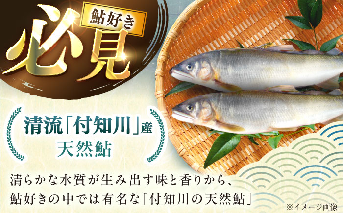 【スピード配送】子持ち天然あゆの甘露煮 3匹セット / あゆ 天然 鮎 甘露煮 / 恵那市 / 恵那物産館 [AUFS004]
