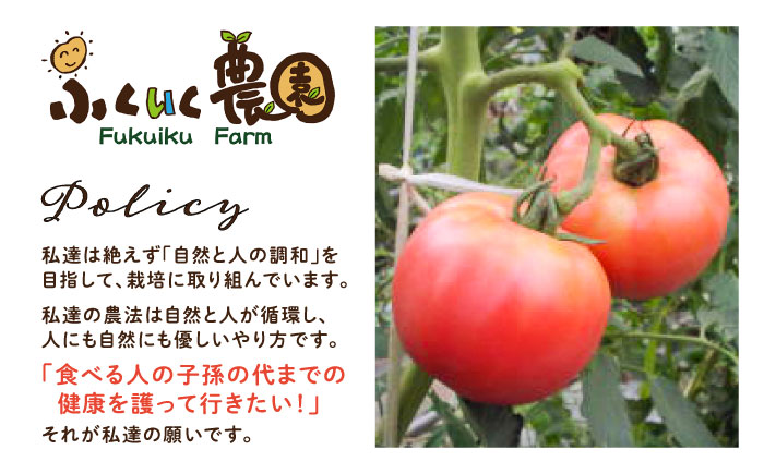 濃厚トマトジュースセット 4本入り 飲料 野菜ジュース トマト 恵那市 / 馥郁農園 [AUCK004]