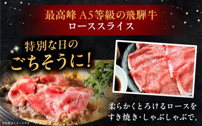 【12回定期便】 飛騨牛 ローススライス A5ランク 500g しゃぶしゃぶ・すき焼き 和牛 国産 霜降り 恵那市 / 岩島屋 [AUAJ038]