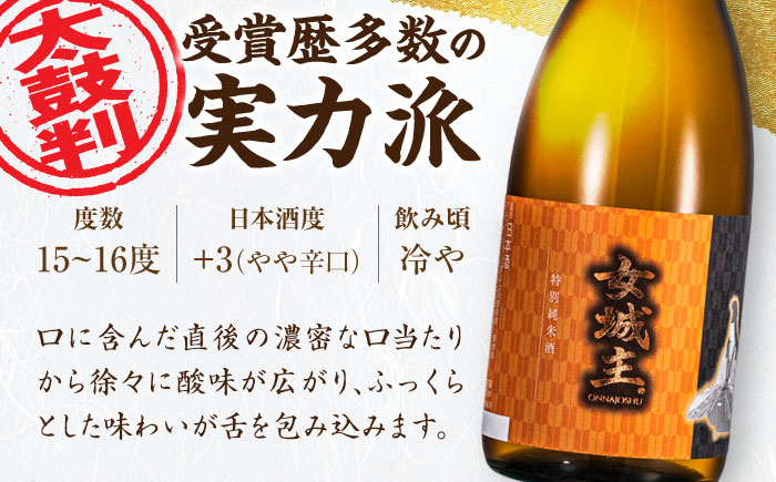 【カーボンオフセット対象】女城主 特別純米酒（720ml×2本セット） / 日本酒 お酒 地酒 銘酒 / 恵那市 / 岩村醸造 [AUAK007]