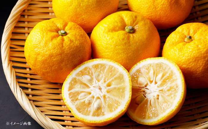 いいなかギフト笠置ゆず香るお茶うけセット / 羊羹 ゼリー かりんとう カステラ 柚子 ゆず / 恵那市 / かさぎゆず組合 [AUAW004]