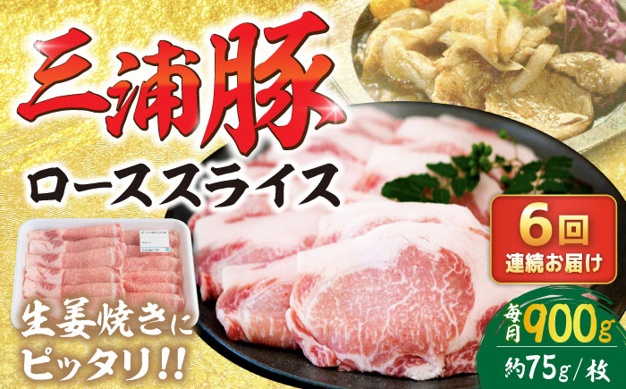 【6回定期便】 三浦豚 豚肉 ロース900ｇ（生姜焼き用）/ ブランド豚 国産 ポーク 生姜焼き 恵那市 / あづま精肉店 [AUDL013]