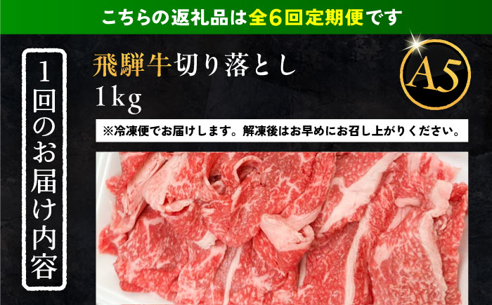 【6回定期便】 飛騨牛 切り落とし肉 A5ランク 1kg 和牛 国産 霜降り 恵那市 / 岩島屋 [AUAJ034]