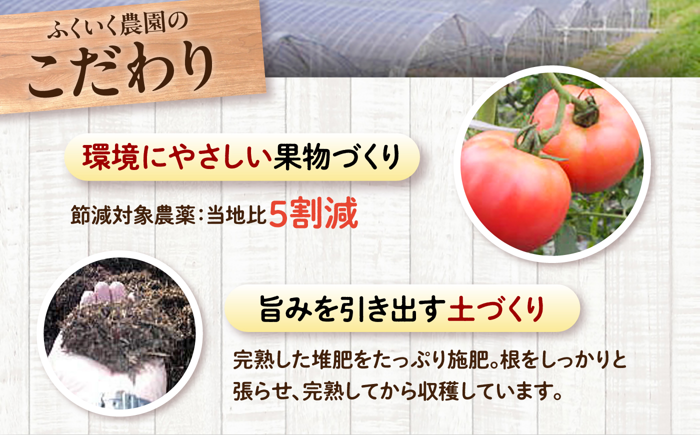【先行予約】【7月中旬から10月下旬までに順次発送】【訳あり】 トマト 約2キロ / とまと 野菜 果物 訳アリ 恵那市 / 馥郁農園 [AUCK013]