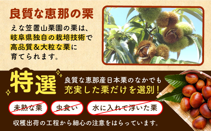 冷凍むき栗「日本栗」 計500g（250g×2P）/ 栗 くり 日本栗 むき栗 岐阜 恵那 / 恵那市 / えな笠置山栗園 [AUAV005]