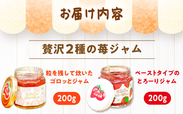 苺ジャム2種セット / いちご 苺 イチゴ あきひめ 国産 / 恵那市 / 阿部農園 [AUGA004]