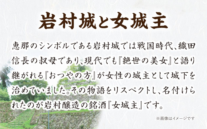 女城主 純米吟醸（720ml）とあま酒（500ml）セット / 日本酒 地酒 甘酒 発酵食品 / 恵那市 / 岩村醸造 [AUAK004]