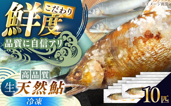＜冷凍＞天然あゆ 18〜20cm 10匹入り / あゆ 天然 鮎 冷凍 / 恵那市 / 恵那物産館 [AUFS008]