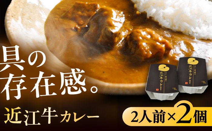 -あふひ 贅の極み- 近江牛カレー レトルト 2人前×2個セット ビーフカレー レトルトカレー 保存食 恵那市 / テンポイント [AUEU017]