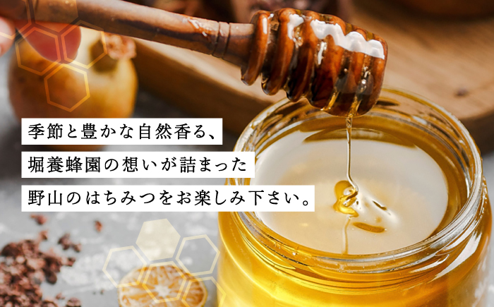 野山のはちみつ 百花蜂蜜 300g / 国産 はちみつ ハチミツ 蜂蜜 百花 ボトル / 恵那市 / 堀養蜂園 [AUCO009]