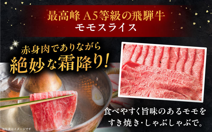 【6回定期便】 飛騨牛 モモスライス A5ランク 500g しゃぶしゃぶ・すき焼き 和牛 国産 霜降り 恵那市 / 岩島屋 [AUAJ040]