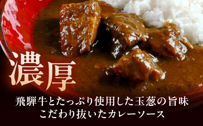 -あふひ 贅の極み- 飛騨牛カレー 2人前×4個セット / レトルトカレー ご当地カレー 常温保存 時短 / 恵那市 / テンポイント [AUEU003]