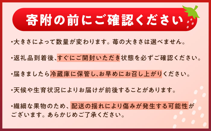 石川農園 完熟いちご 4パック入り / 産地直送 イチゴ 苺 フルーツ 恵那市 / クリエイティブファーマーズ [AUAH020]