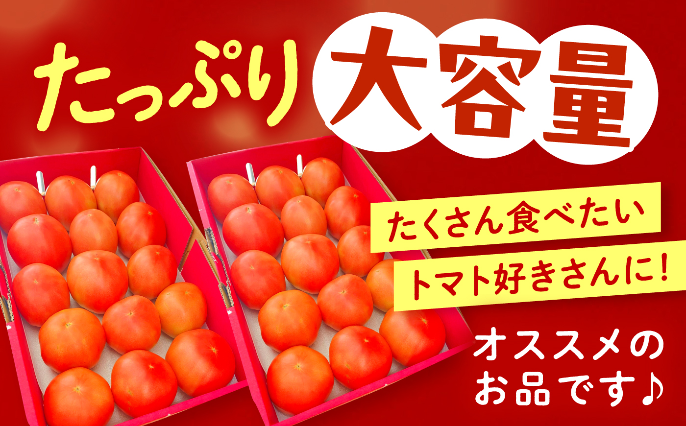 【2週間以内に発送！】【10月中旬まで受付】  訳あり大玉トマト4kg / 朝採り 甘い 桃太郎 とまと / 恵那市 / クリエイティブファーマーズ [AUAH016]