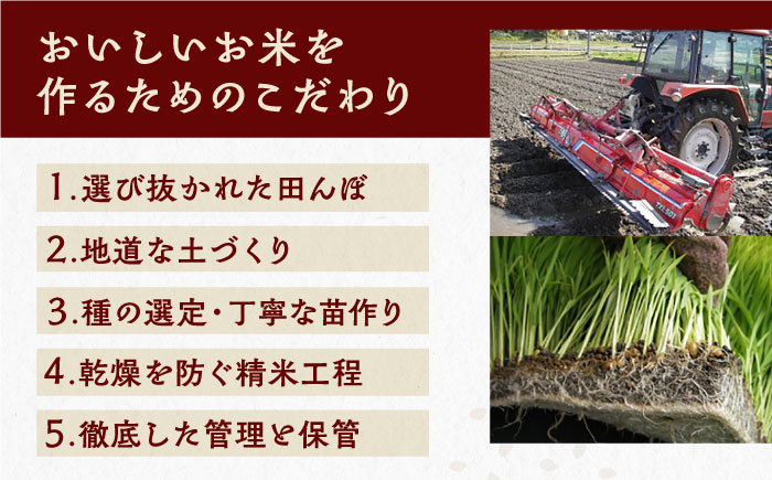 【12回定期便】　こしひかり 白米 10kg×12ヵ月 恵那 / お米 こめ コシヒカリ / 恵那市 / おこめのささき [AUAT007]