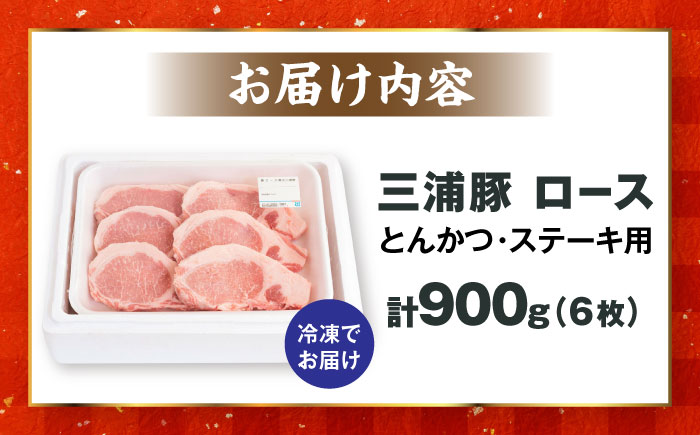 三浦豚 豚肉 ステーキ 900g ブランド豚 国産 ポーク とんかつ 恵那市 / あづま精肉店 [AUDL002]