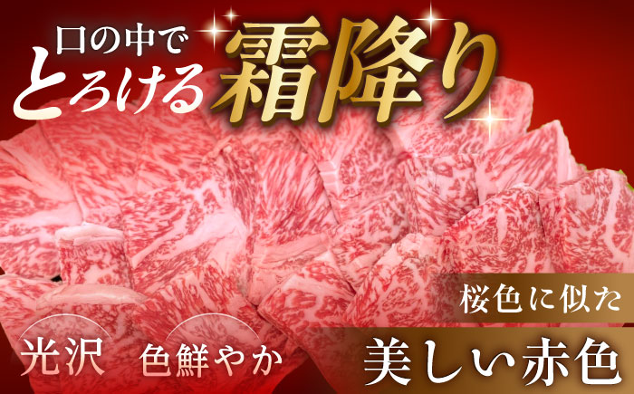【先行予約】【2026年1月より順次発送】【チルド（冷蔵）発送！】 「飛騨牛」 A5等級 ロース 1kg / 牛肉 焼肉 鉄板焼き 網焼き BBQ / 恵那市 / 東美濃農業協同組合 [AUFX009]