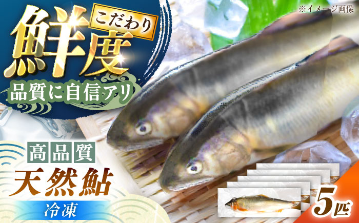 ＜冷凍＞天然あゆ 19〜22cm 5匹入り / あゆ 天然 鮎 冷凍 / 恵那市 / 恵那物産館 [AUFS009]