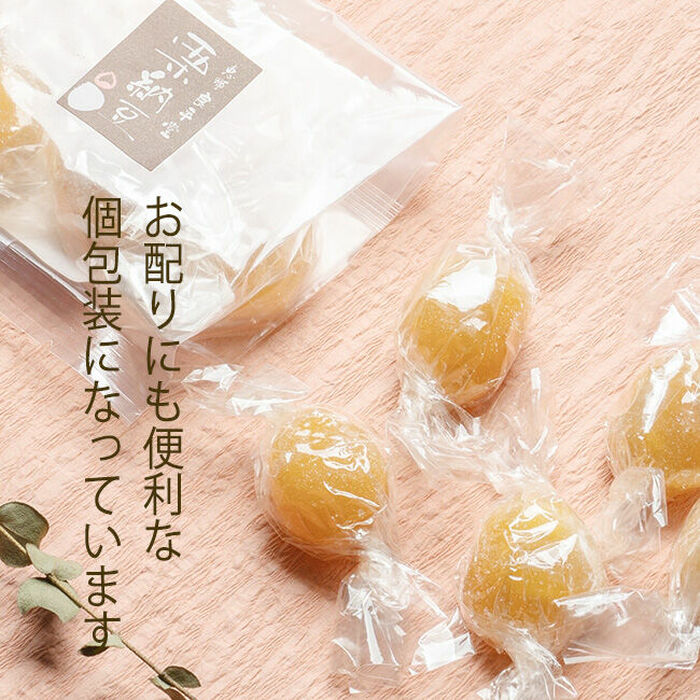 栗納豆 5粒入 2箱 / くり 和菓子 まるごと ギフト / 恵那市 / 良平堂 [AUDB033]