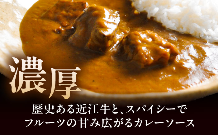 -あふひ 贅の極み- 近江牛カレー レトルト 2人前×2個セット ビーフカレー レトルトカレー 保存食 恵那市 / テンポイント [AUEU017]