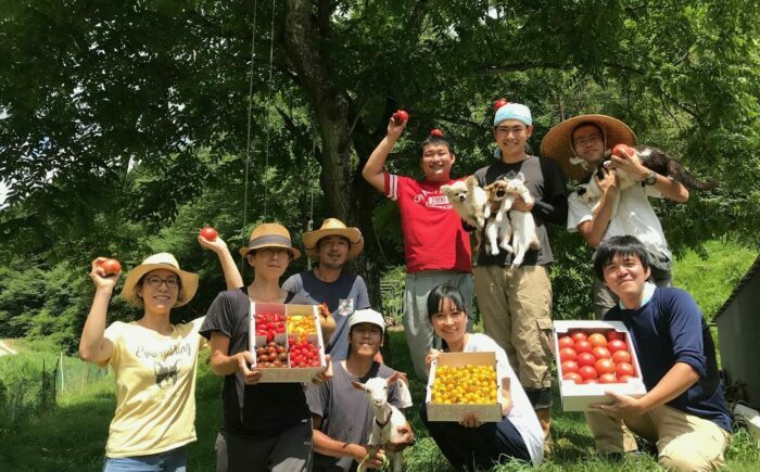 【先行予約】大玉トマト(贈答用) 4kg 産地直送 とまと トマト【7月より順次発送】 恵那市 / クリエイティブファーマーズ [AUAH013]