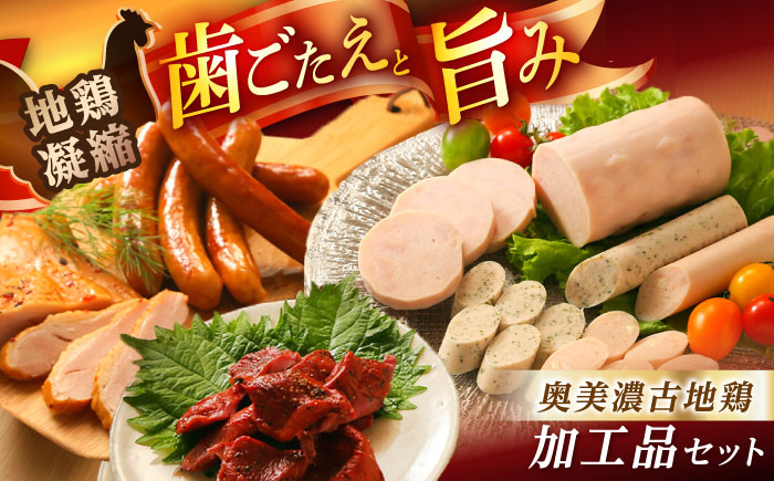 【年内配送】奥美濃古地鶏Bセット / 地鶏 鶏肉 とり肉 肉 ハム ウインナー パストラミ ソーセージ 砂肝 燻製 セット 詰め合わせ / 恵那市 / 中部食産 [AUBW006]