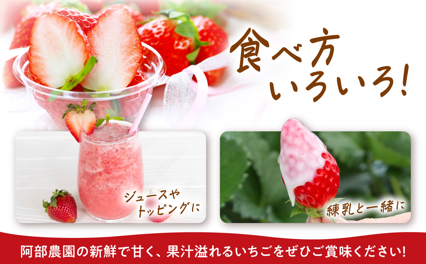 【先行予約・2027年1月上旬から順次発送】 いちご 250g×4パック / いちご 苺 イチゴ 国産 / 恵那市 / 阿部農園 [AUGA003]