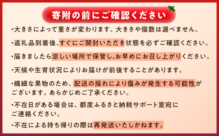 【7月上旬から順次発送】＼訳あり／ワイルド王様トマト 3.7kg / トマト とまと 箱入り 3.7キロ / 恵那市 / 阿部農園 [AUGA008]