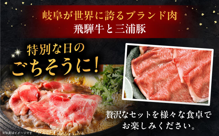 【3回定期便】 飛騨牛ロース1kg カルビ700g 三浦豚ロース900g 豪華3点セット しゃぶしゃぶ・焼肉 和牛 国産 霜降り 恵那市 / 岩島屋 [AUAJ030]