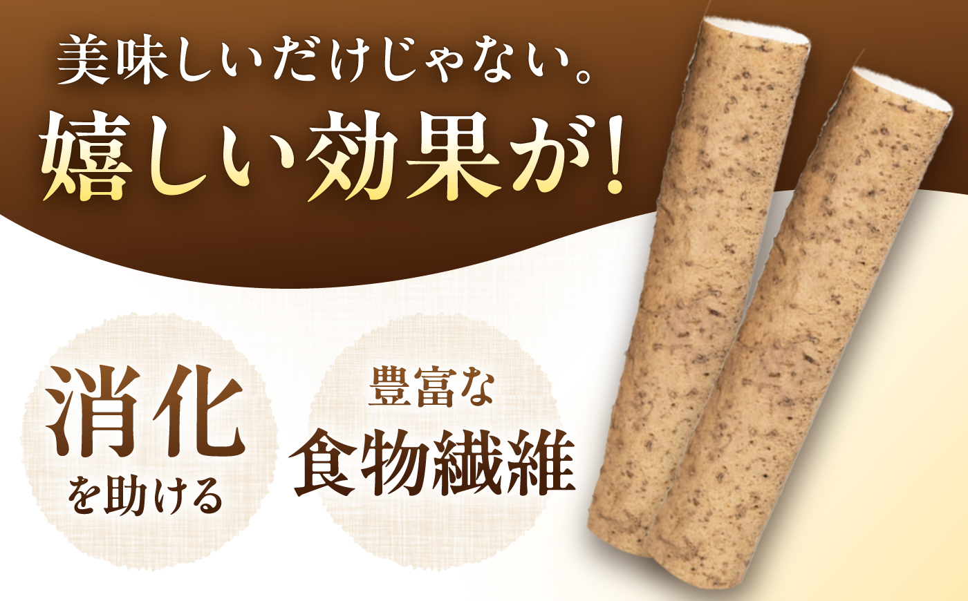 【伊勢神宮外宮奉納品】自然薯 小箱（180g）×3の詰合せ / 自然薯 じねんじょ とろろ / 恵那市 / 水戸屋 [AUFZ010]