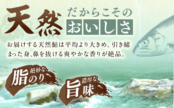【スピード配送】子持ち天然あゆの甘露煮 3匹セット / あゆ 天然 鮎 甘露煮 / 恵那市 / 恵那物産館 [AUFS004]