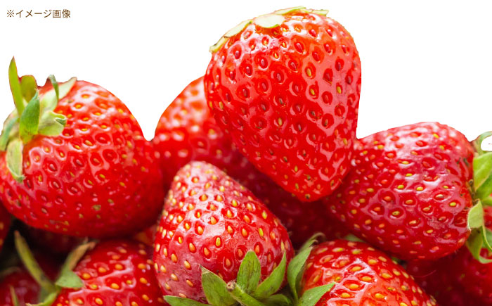 丸ごと苺のゴロッとジャム / ジャム いちごジャム いちご 苺 あきひめ / 恵那市 / 阿部農園 [AUGA006]