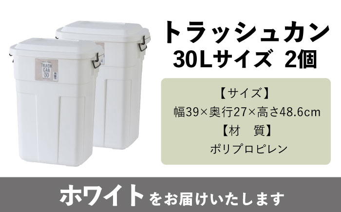 トラッシュカン ゴミ箱 ふた付き 30L ホワイト 2個組 / ダストボックス ゴミ箱 ごみ箱 / 恵那市 / 東谷株式会社 明智流通センター [AUAD069]
