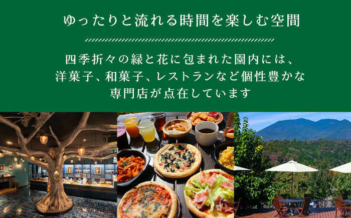 栗きんとん・柿ぼっくり 各６個セット / 栗きんとん くりきんとん 柿 栗 岐阜 セット 手土産 和菓子 スイーツ お菓子 / 恵那市 / 銀の森 [AUBG017]