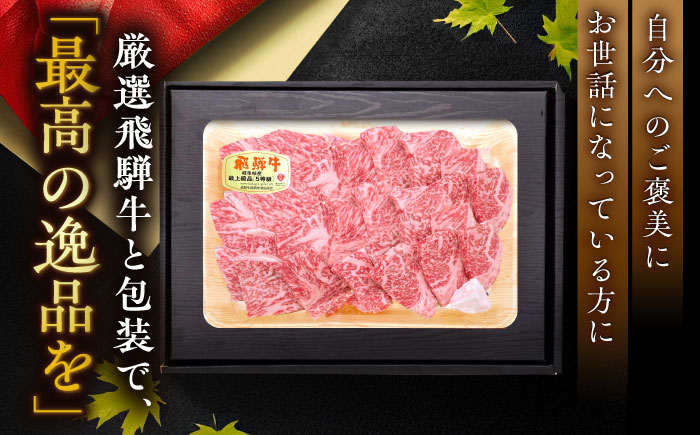 【先行予約】【2026年1月より順次発送】【チルド（冷蔵）発送！】 「飛騨牛」 A5等級 ロース 1kg / 牛肉 焼肉 鉄板焼き 網焼き BBQ / 恵那市 / 東美濃農業協同組合 [AUFX009]