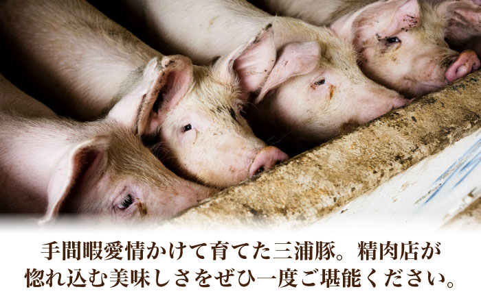 【3回定期便】 三浦豚 豚肉 ロース900ｇ（しゃぶしゃぶ用）/ ブランド豚 国産 ポーク しゃぶしゃぶ 恵那市 / あづま精肉店 [AUDL015]