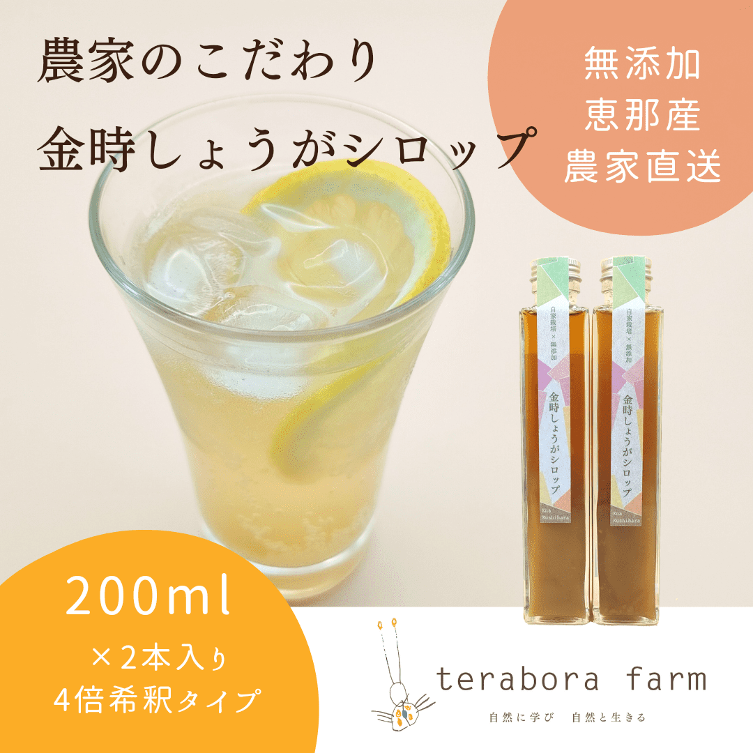 こだわり金時しょうがシロップ 200ml×2本 ギフトセット / しょうが ショウガ 生姜 ジンジャー 生姜シロップ ジンジャーシロップ / 恵那市 / てらぼら農園 [AUDZ001]