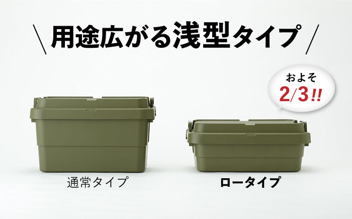 トランクカーゴ グレー ロータイプM 1個 キャンプ ボックス 収納 アウトドア / 恵那市 / 東谷株式会社　明智流通センター [AUAD035]