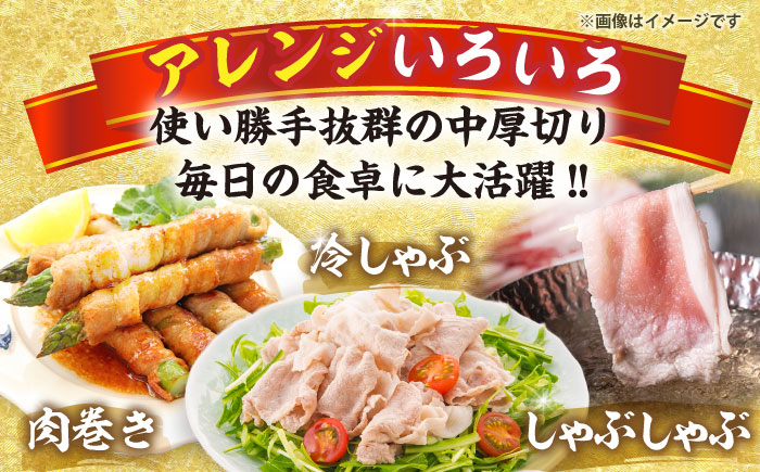 三浦豚 豚肉 ロース 薄切り 900g ブランド豚 国産 ポーク しゃぶしゃぶ 恵那市 / あづま精肉店 [AUDL004]