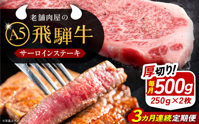 【3回定期便】 飛騨牛 サーロインステーキ (A5ランク) 250g×2枚 和牛 国産 霜降り 恵那市 / 岩島屋 [AUAJ027]